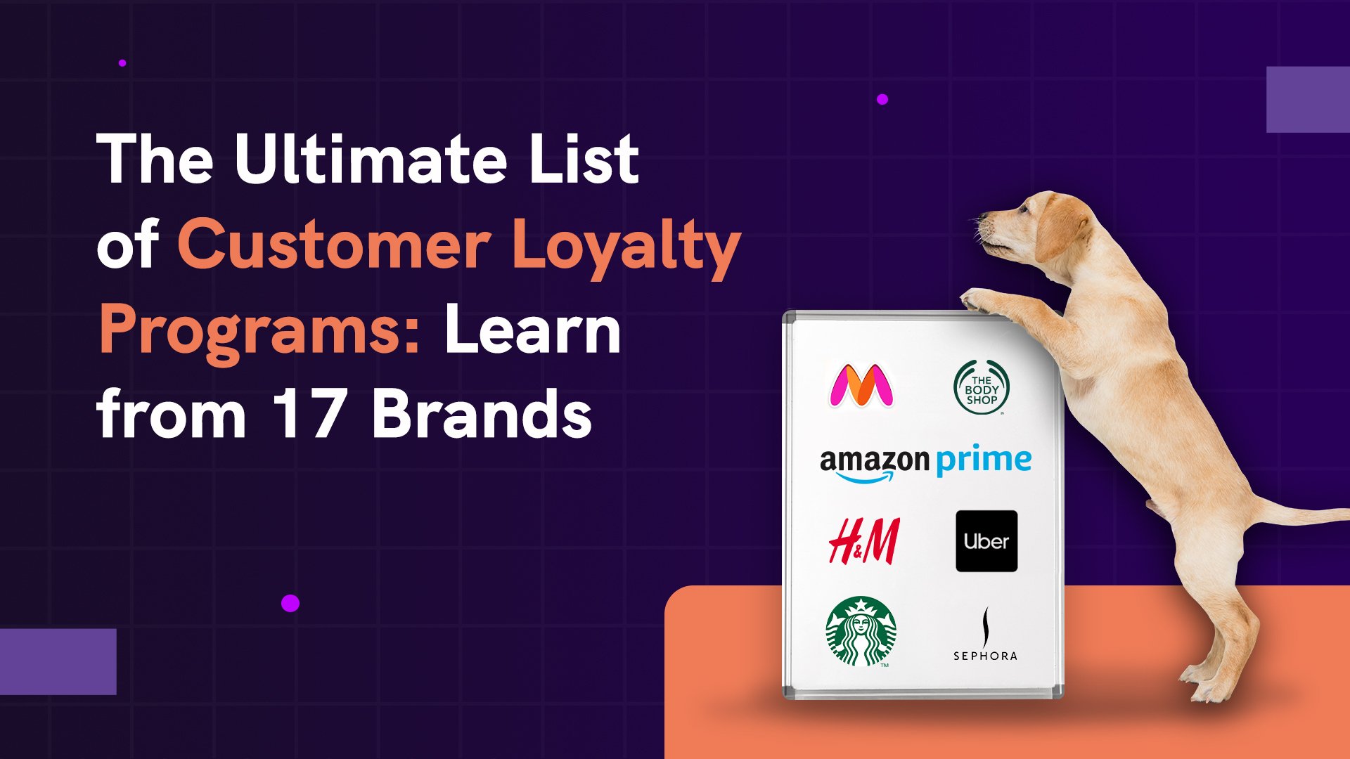 the-ultimate-list-of-customer-loyalty-programs-14-brand-examples